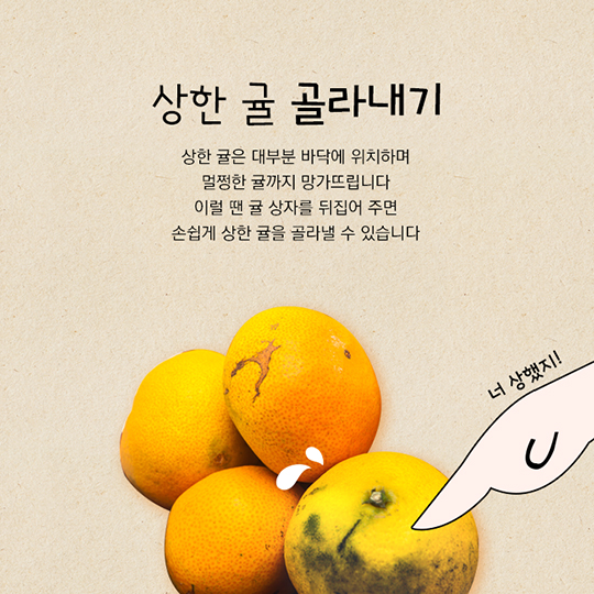 겨울철 대표 간식 귤 보관법
