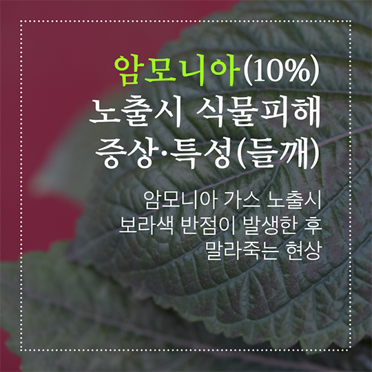 화학사고! 식물피해도감으로 더 정확히 확인해 보세요!