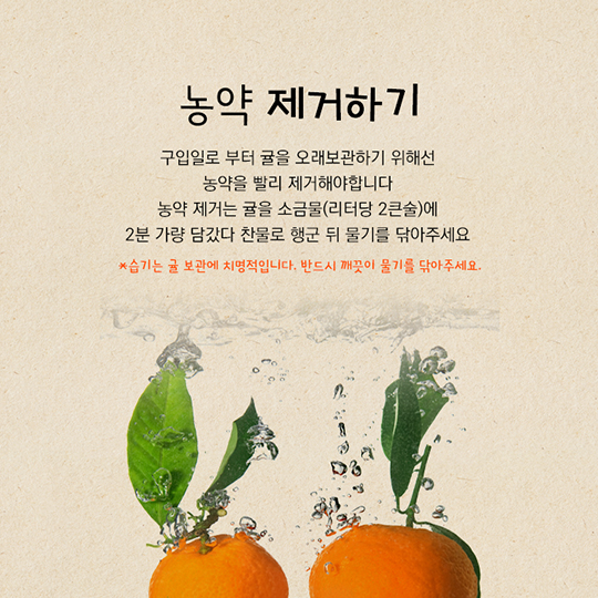 겨울철 대표 간식 귤 보관법