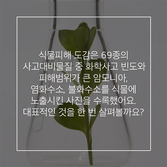 화학사고! 식물피해도감으로 더 정확히 확인해 보세요!