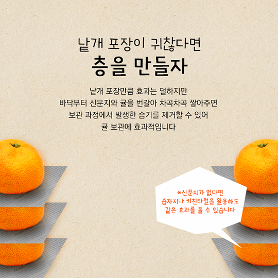 겨울철 대표 간식 귤 보관법