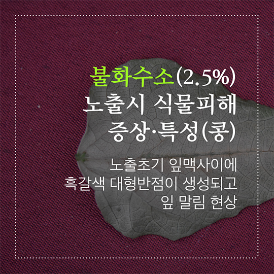 화학사고! 식물피해도감으로 더 정확히 확인해 보세요!