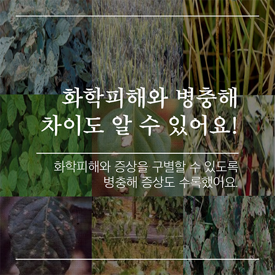 화학사고! 식물피해도감으로 더 정확히 확인해 보세요!