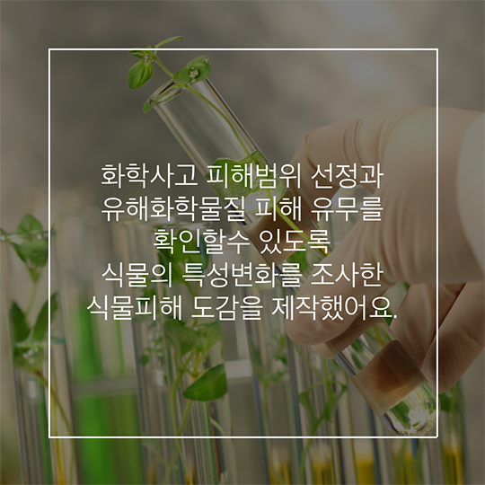 화학사고! 식물피해도감으로 더 정확히 확인해 보세요!