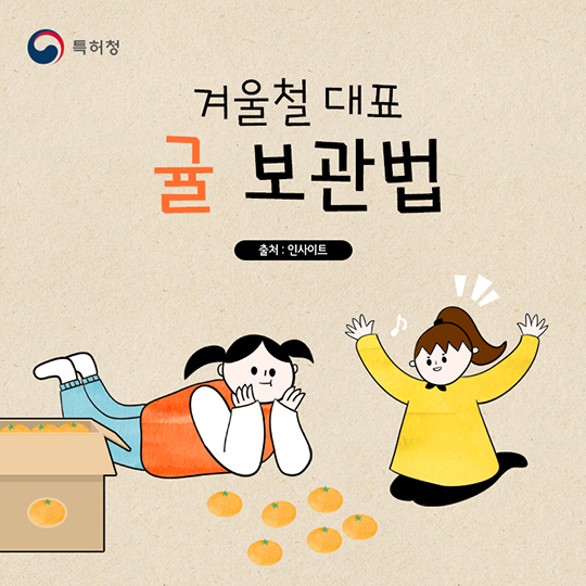 겨울철 대표 간식 귤 보관법