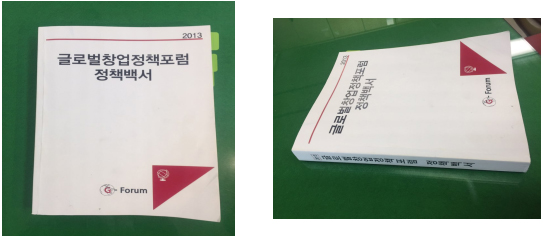 ‘2013년 글로벌창업정책포럼 정책백서’ 책자 사진