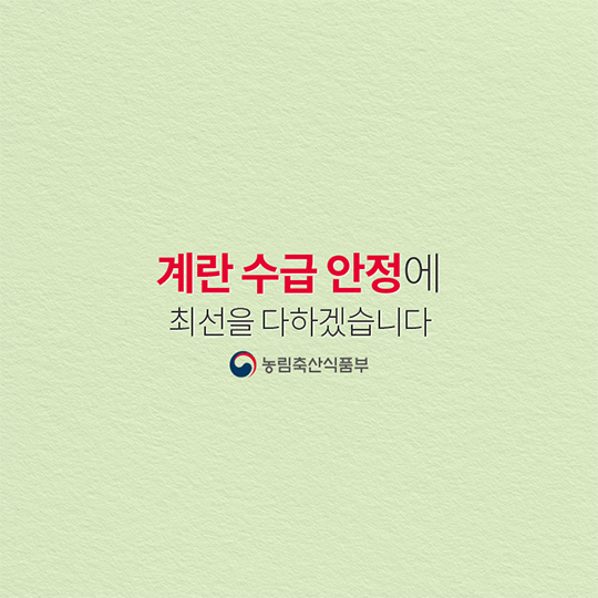 계란 수급 안정에 최선을 다하겠습니다.