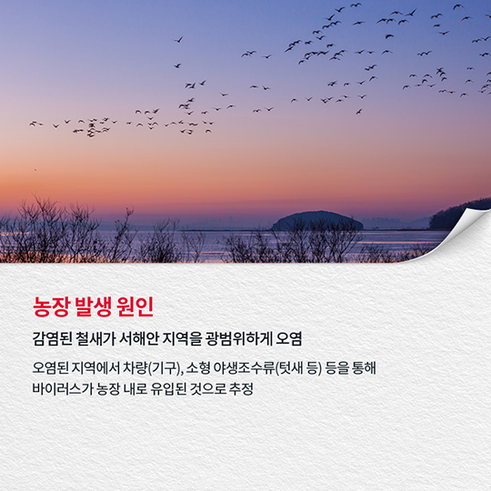 AI 역학조사 그것 참 궁금하다!