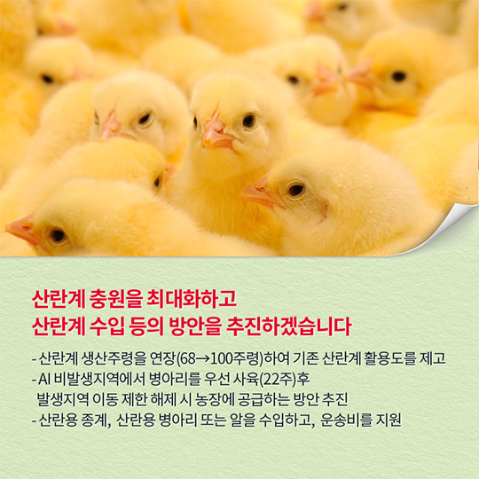 계란 수급 안정에 최선을 다하겠습니다.