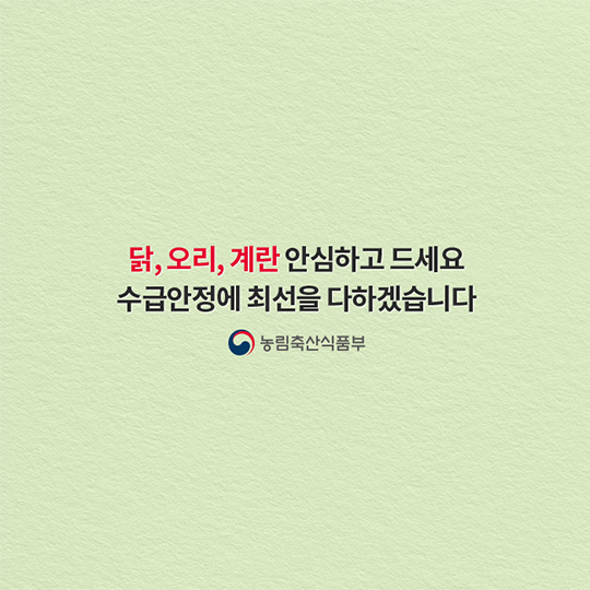 계란 수급 안정에 최선을 다하겠습니다.