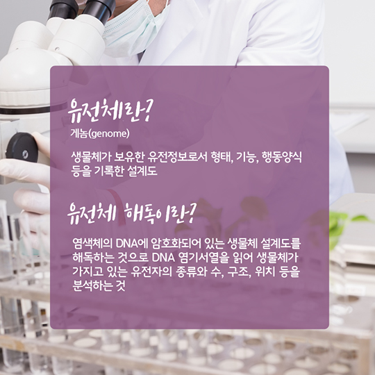 우리농작물 9종 생명체 설계도 최초 해독