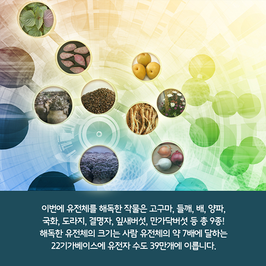 우리농작물 9종 생명체 설계도 최초 해독