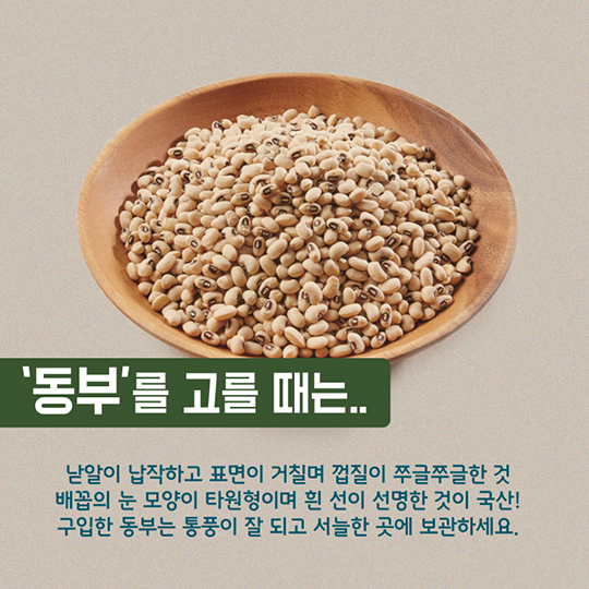 알고 먹으면 더 맛있는 동부