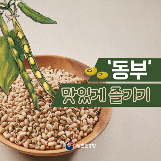 알고 먹으면 더 맛있는 동부