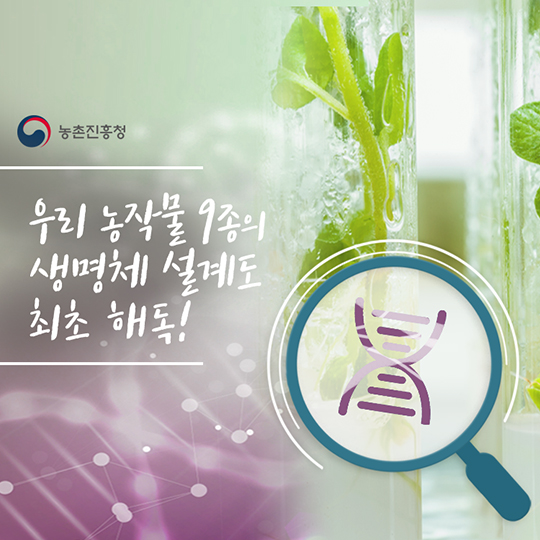 우리농작물 9종 생명체 설계도 최초 해독