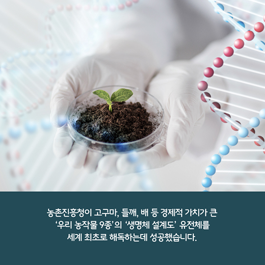 우리농작물 9종 생명체 설계도 최초 해독