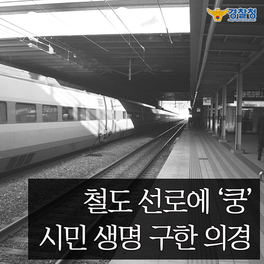 철도 선로에 쿵 시민 생명 구한 의경