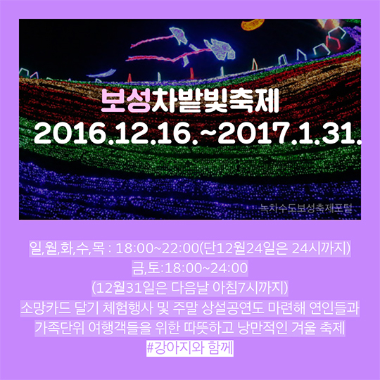 2016년 12월 축제 