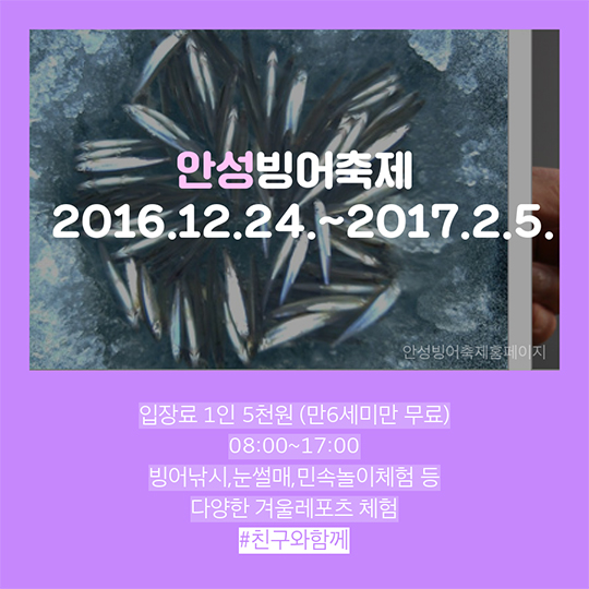 2016년 12월 축제 
