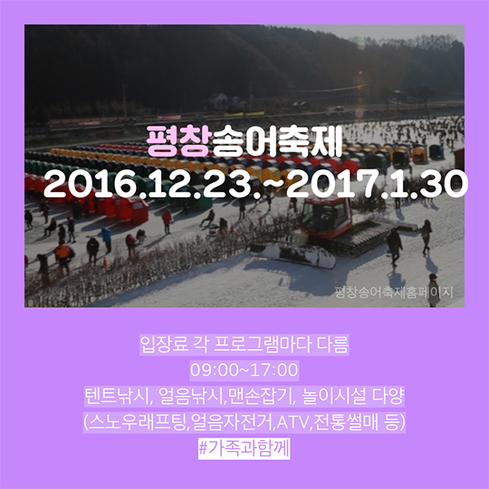 2016년 12월 축제 