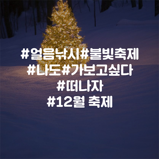 2016년 12월 축제 