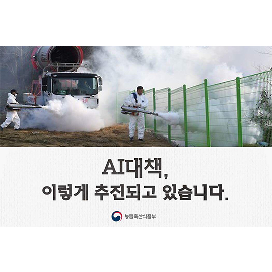 AI 대책, 이렇게 추진되고 있습니다.