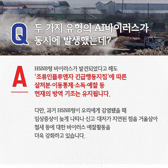 AI 대책, 이렇게 추진되고 있습니다.