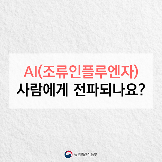 AI(조류인플루엔자) 사람에게 전파되나요?