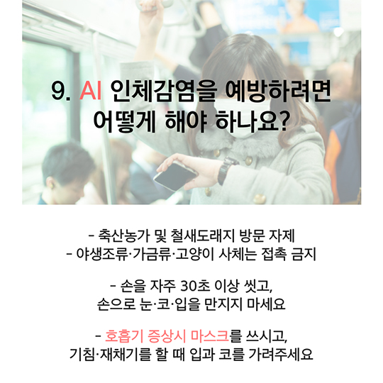 AI(조류인플루엔자) 사람에게 전파되나요?