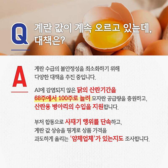 AI 대책, 이렇게 추진되고 있습니다.