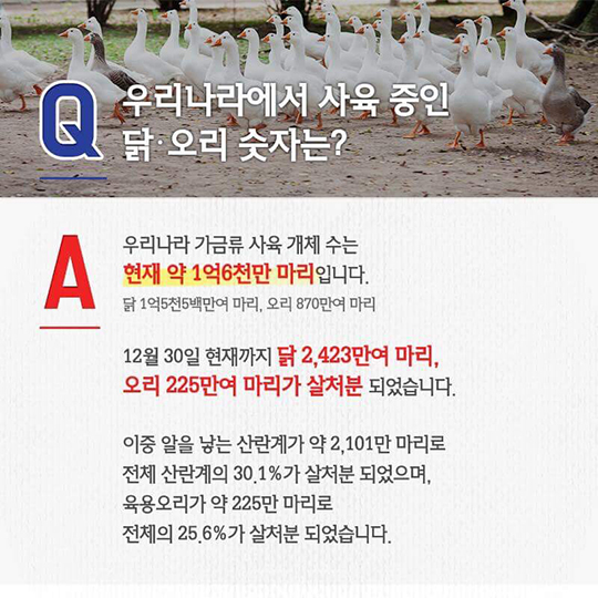 AI 대책, 이렇게 추진되고 있습니다.