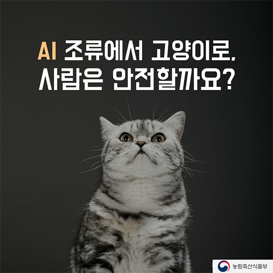 AI 조류에서 고양이로 사람은 안전할까요?