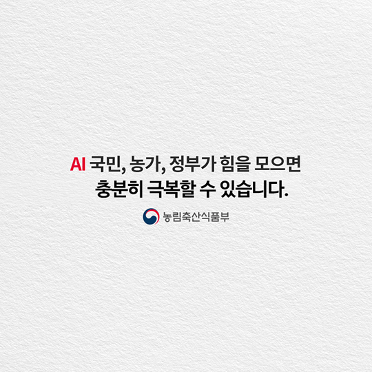 AI 조류에서 고양이로 사람은 안전할까요?