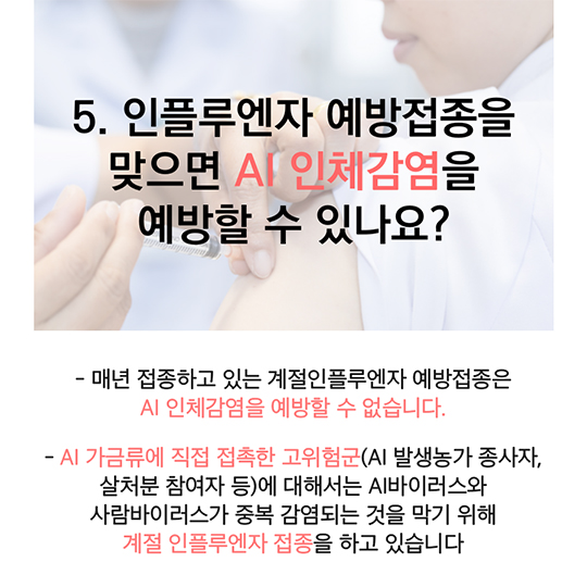 AI(조류인플루엔자) 사람에게 전파되나요?