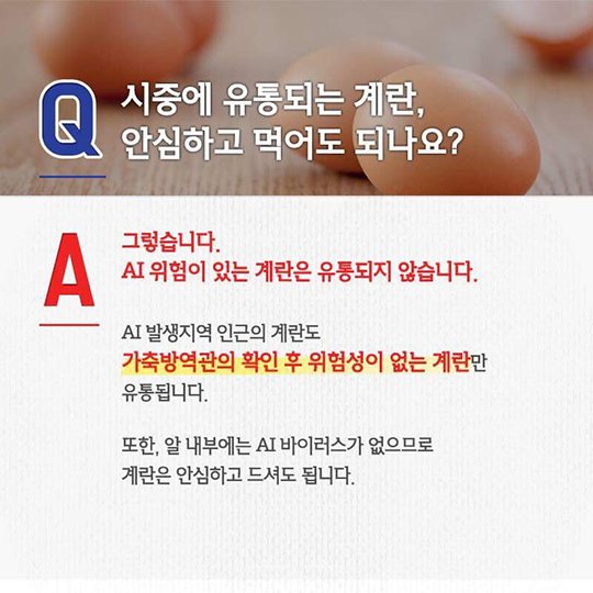AI 대책, 이렇게 추진되고 있습니다.