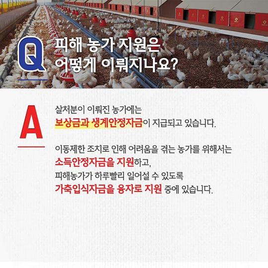 AI 대책, 이렇게 추진되고 있습니다.