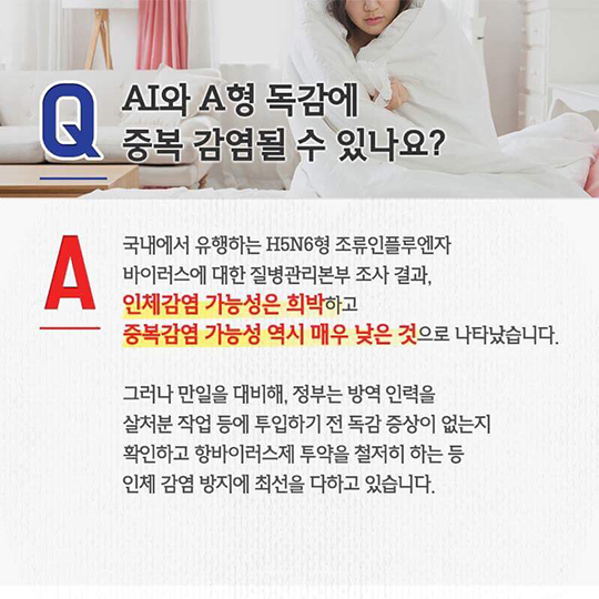 AI 대책, 이렇게 추진되고 있습니다.