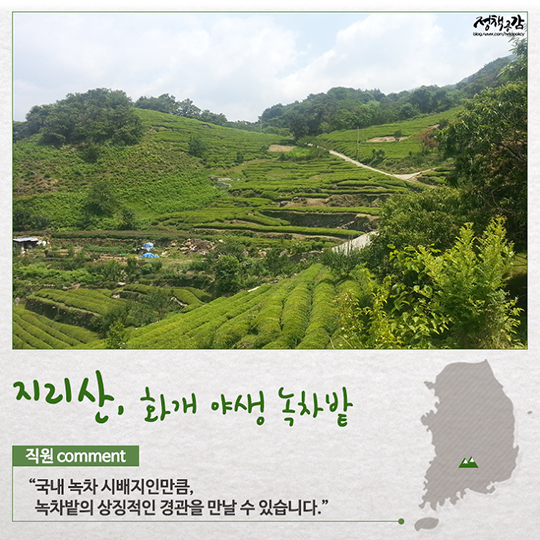국립공원 직원이 추천하는 겨울철 산행 명소 BEST 15