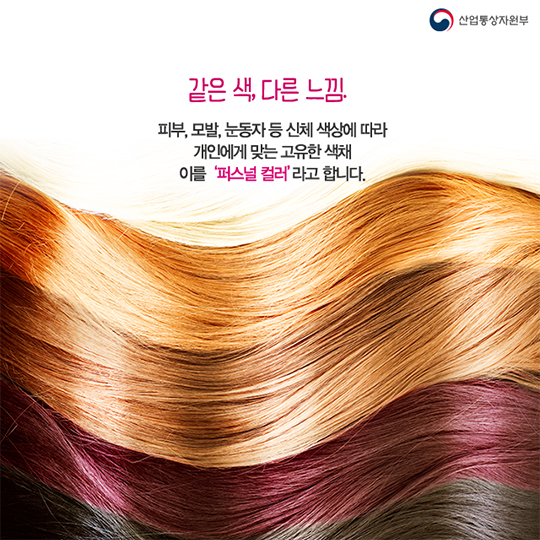 나에게 맞는 색깔은? - 퍼스널 컬러