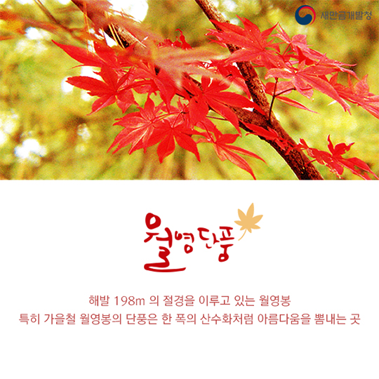 신선이 노닐던 그곳 선유도, 선유8경