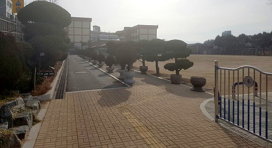 설 연휴기간 주차장으로 활용되는 대동초등학교