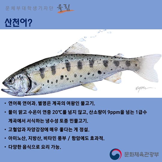 모두 함께 즐기는 