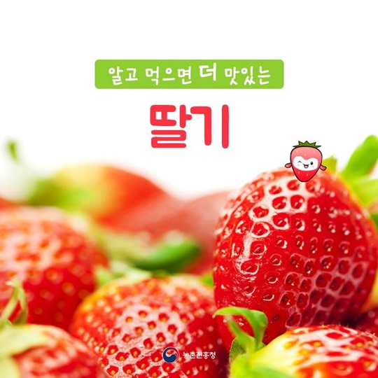[카드뉴스] 알고 먹으면 더 맛있는 딸기 