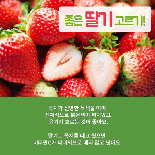 [카드뉴스] 알고 먹으면 더 맛있는 딸기 