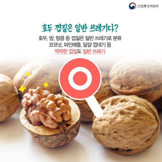 간편한 음식물쓰레기 분류법 - 애매한 것들의 지침서