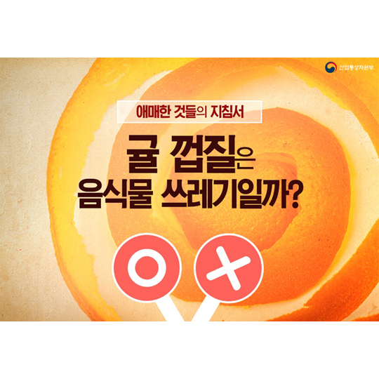 간편한 음식물쓰레기 분류법 - 애매한 것들의 지침서