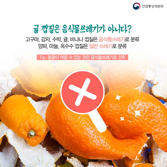 간편한 음식물쓰레기 분류법 - 애매한 것들의 지침서