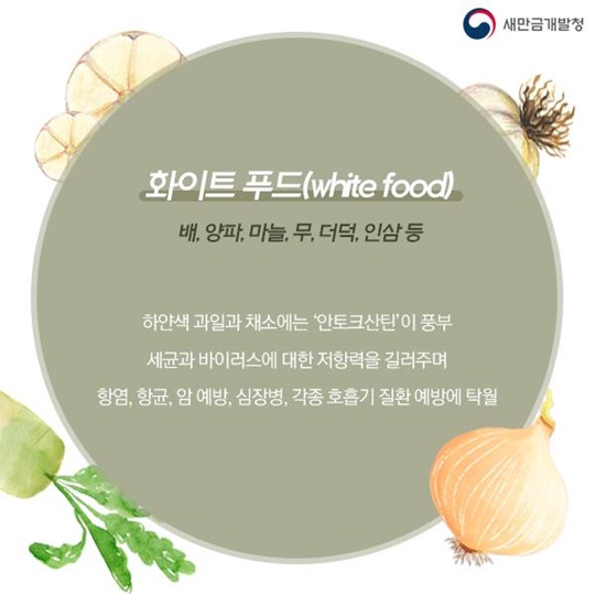 알록달록 형형색색 컬러풀한 건강관리