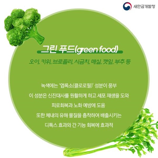 알록달록 형형색색 컬러풀한 건강관리