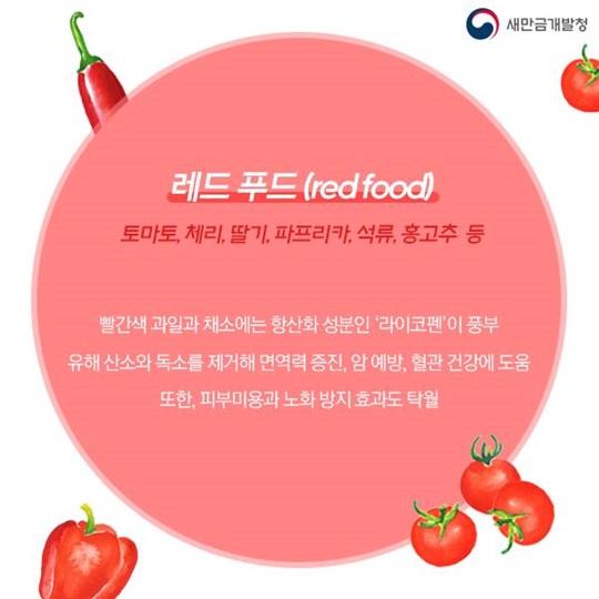 알록달록 형형색색 컬러풀한 건강관리